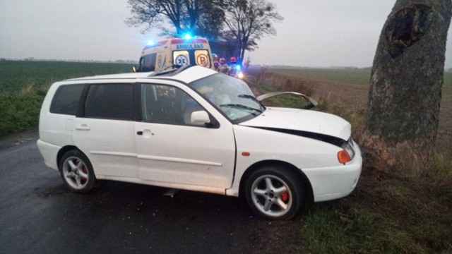 Kierowca, który volkswagenem polo uderzył w drzewo w Stablewicach, trafił do szpitala