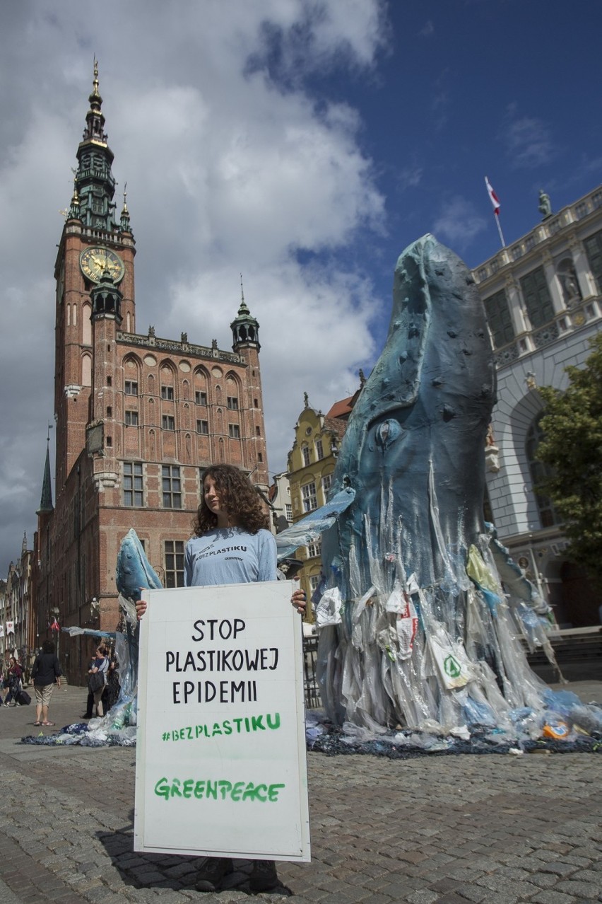 Greenpeace Polska apeluje o wdrożenie dyrektywy o...