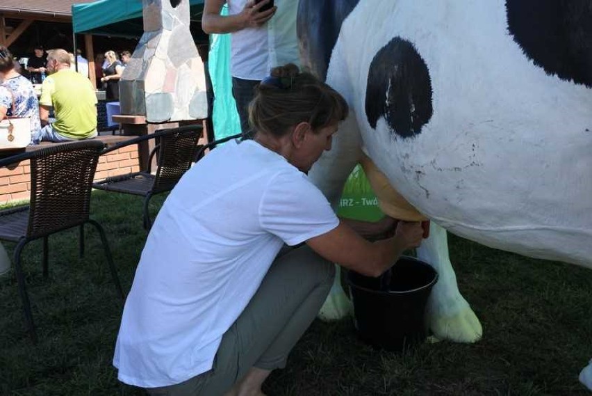 Dożynki gminne w Augustowie 2019. Rolnicy doili sztuczną krowę [ZDJĘCIA]