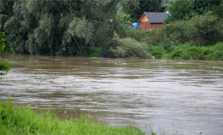 Wysoki stan wody w Sanie w Jarosławiu. Poziom wody to 350 cm. Do stanu ostrzegawczego brakuje 90 cm [ZDJĘCIA]