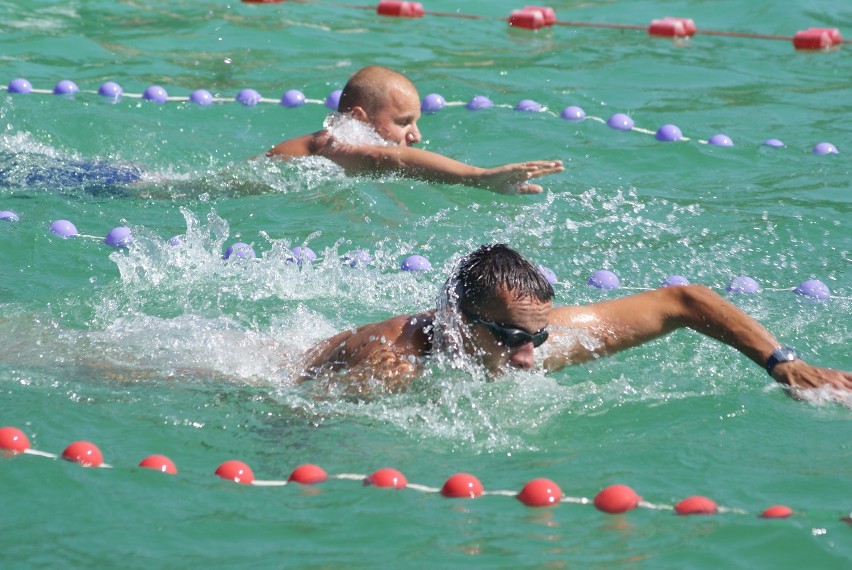 Mistrzostwa Radzionkowa w pływaniu 2013 [ZDJĘCIA]