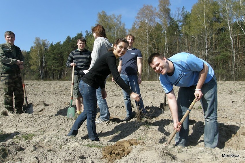 Zagraniczni studenci co roku sadzą kilka tysięcy drzew w okolicach Łodzi