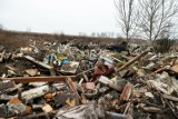Góra śmieci z rozbiórki altanek ogródkowych wciąż zalega przy ul. Petofiego