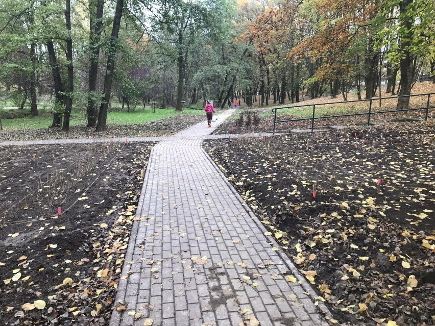 Kraków. W parku Zielony Jar trwa nasadzanie roślin. Wiosną zrobi się tu kolorowo i pachnąco
