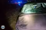 Tragedia na Mazowszu. Pijany kierowca potrącił 42-latka na nieoświetlonej drodze. Pieszy zginął na miejscu 