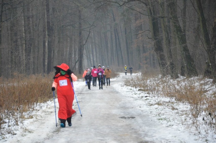 WOŚP 2019 w Piotrkowie - III bieg "Policz się cukrzycą"