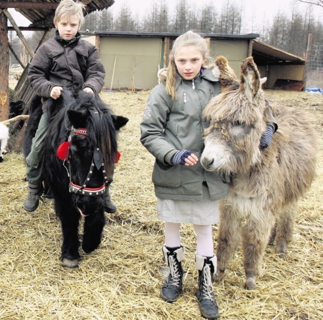 Zwierzęta w zagrodzie Janusza Arasimowicza są atrakcją dla dzieci.