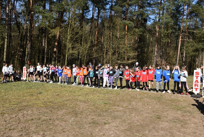 Za nami Mistrzostwa Powiatu Nowotomyskiego w drużynowych biegach przełajowych