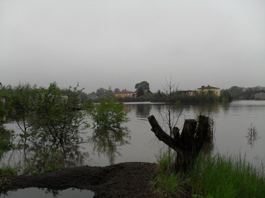 Chełm Mały podczas powodzi 2010
