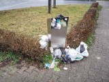 Śmieciowy problem na ulicach Leszna. Podrzucanie do plaga