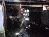 Pożar garażu w Mroczkowie Dużym, pożary lasów. Strażacy podsumowali tydzień działań [ZDJĘCIA]