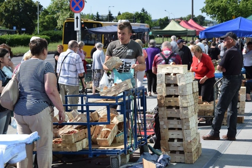 W piątek 11 czerwca na bazarach w Kielcach przyszło mnóstwo...