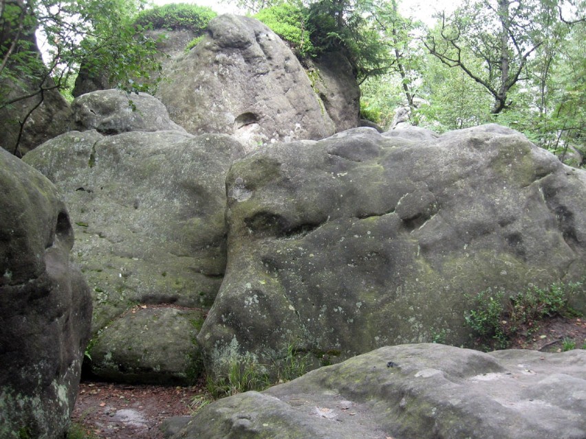 Przyślijcie nam wasze zdjęcia z wakacji.