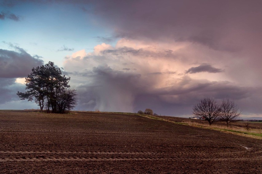 Konkurs fotograficzny "Przebudzenie Wiosny" 2019