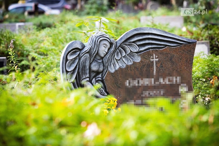 Nagrobki ze szczecińskiego Cmentarza Centralnego