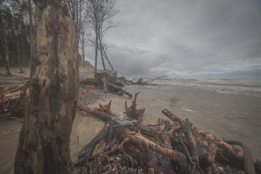 Orkan Eunice w Orzechowie. Zniszczenia unikatowego klifu morskiego [ZDJĘCIA]