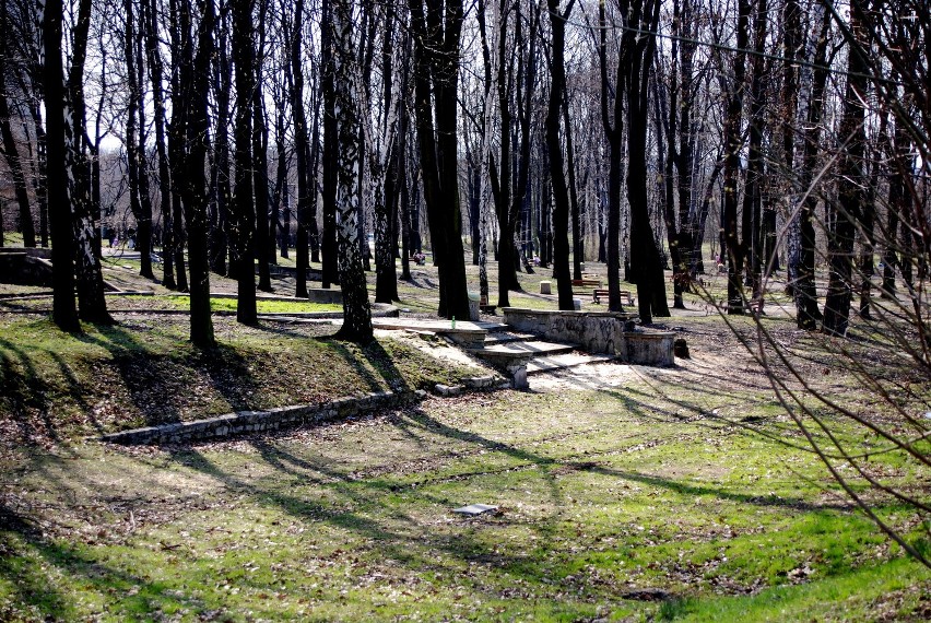 Będzin: W parku na Warpiu wycięto drzewa