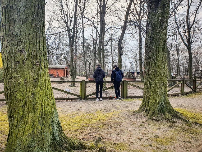 Leszczyński Park 1000-lecia i mini zoo tuż przed początkiem wiosny 2022