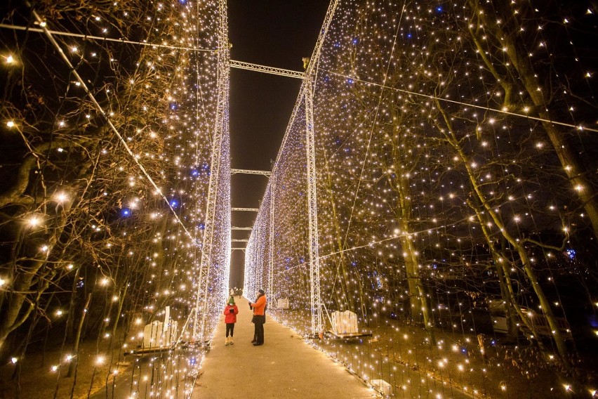 W Gdańsku "Odpalono Święta". Na głównych gdańskich ulicach i w parkach bożonarodzeniowe iluminacje 