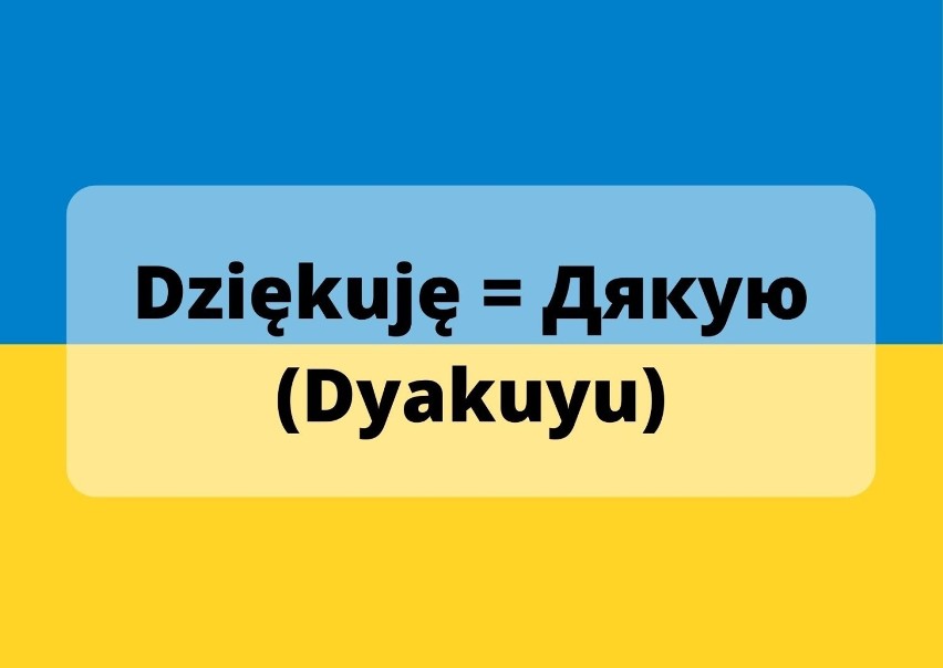 Słowniczek polsko-ukraiński. Poznaj podstawowe zwroty, które...