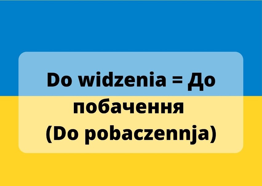 Słowniczek polsko-ukraiński. Poznaj podstawowe zwroty, które...