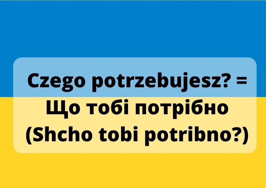 Słowniczek polsko-ukraiński. Poznaj podstawowe zwroty, które...