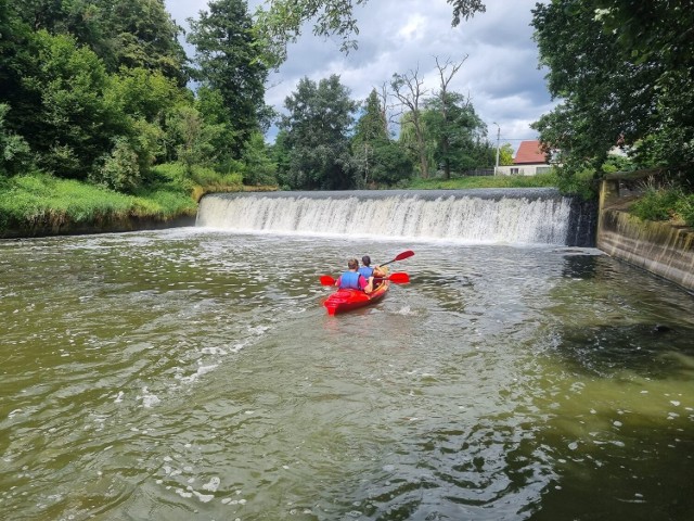 W sobotę, 19 sierpnia Centrum Rekreacji Przystań Złotniki ponownie wystartowało z całodniowymi spływami kajakowymi po jednym z najpiękniejszych szlaków kajakowych we Wrocławiu i na Dolnym Śląsku.