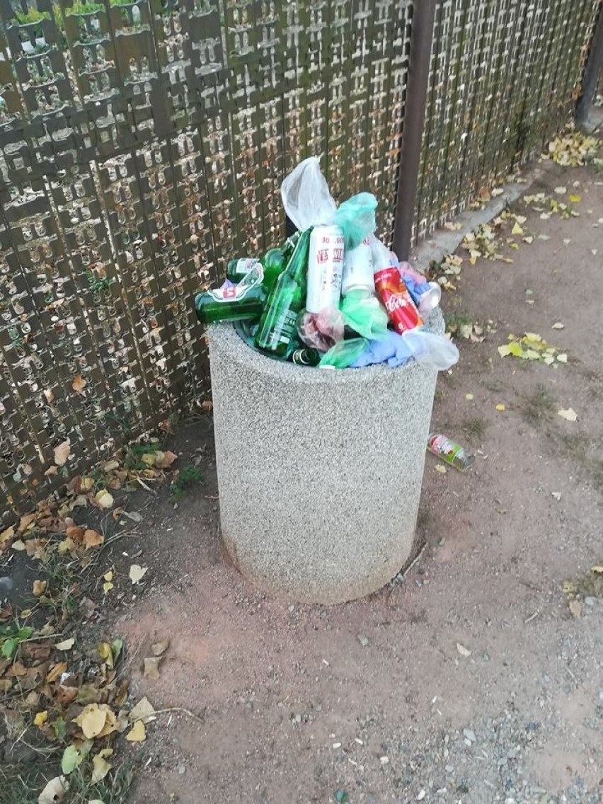Śmieci na wybiegu dla psów przy ul. Budziszyńskiej [ZDJĘCIA]