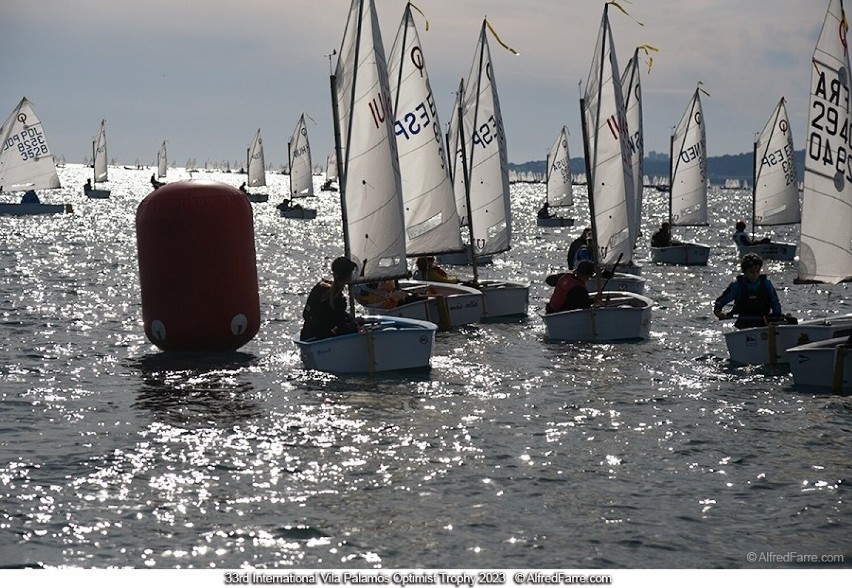 Regaty Palamos Optimist Trophy