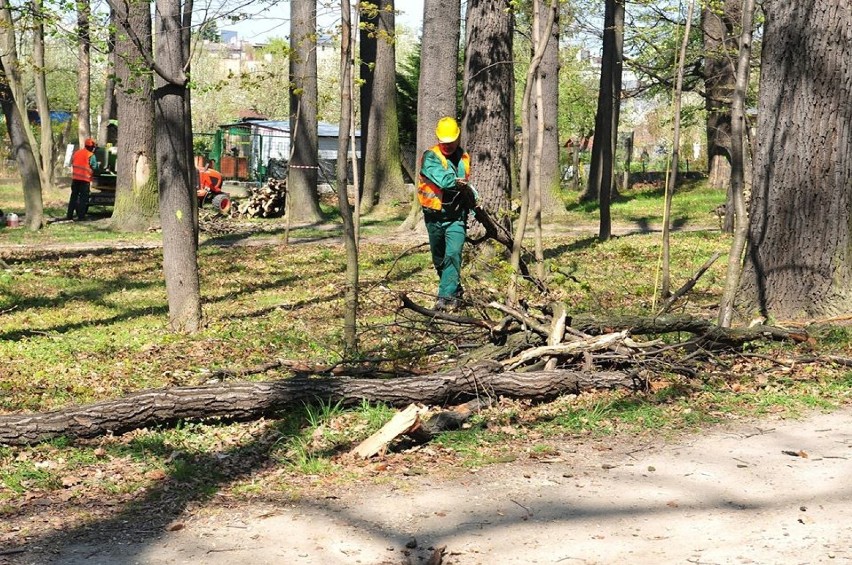 Rozpoczęły się prace w Parku Młodzieżowym w Świdnicy (ZDJĘCIA) 