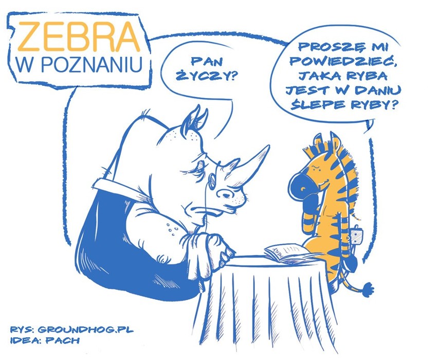 Co robi Zebra w Poznaniu? - komiks