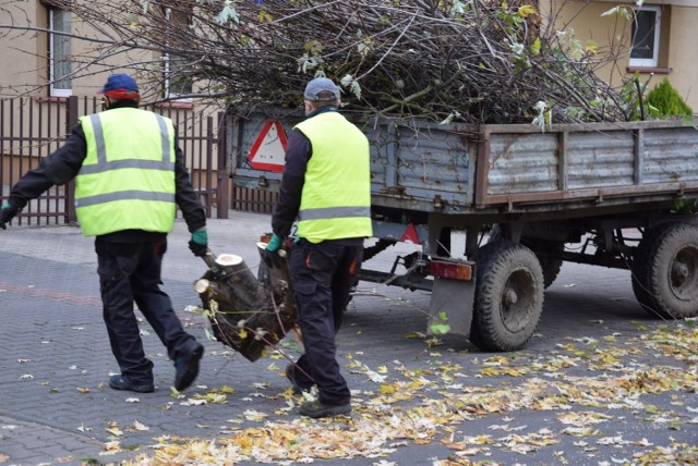 Pierwsze drzewa wycięto przy ul. św. Stanisława i na Skwerze Inwalidów Wojennych
