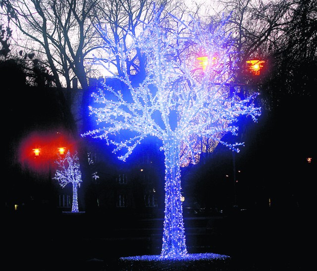 W Katowicach można już oglądać świetlne drzewa