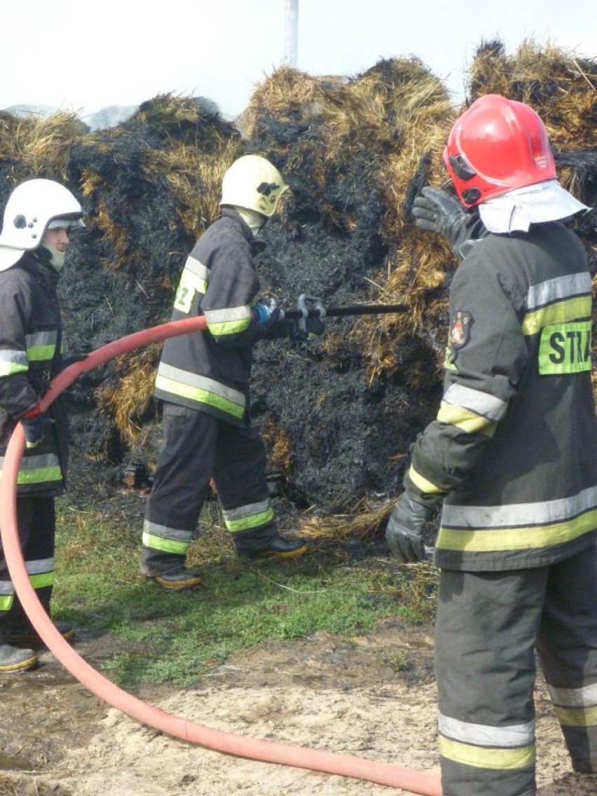 Pożar w Murowanej Goślinie: Paliło się siano przy hodowli danieli [ZDJĘCIA]
