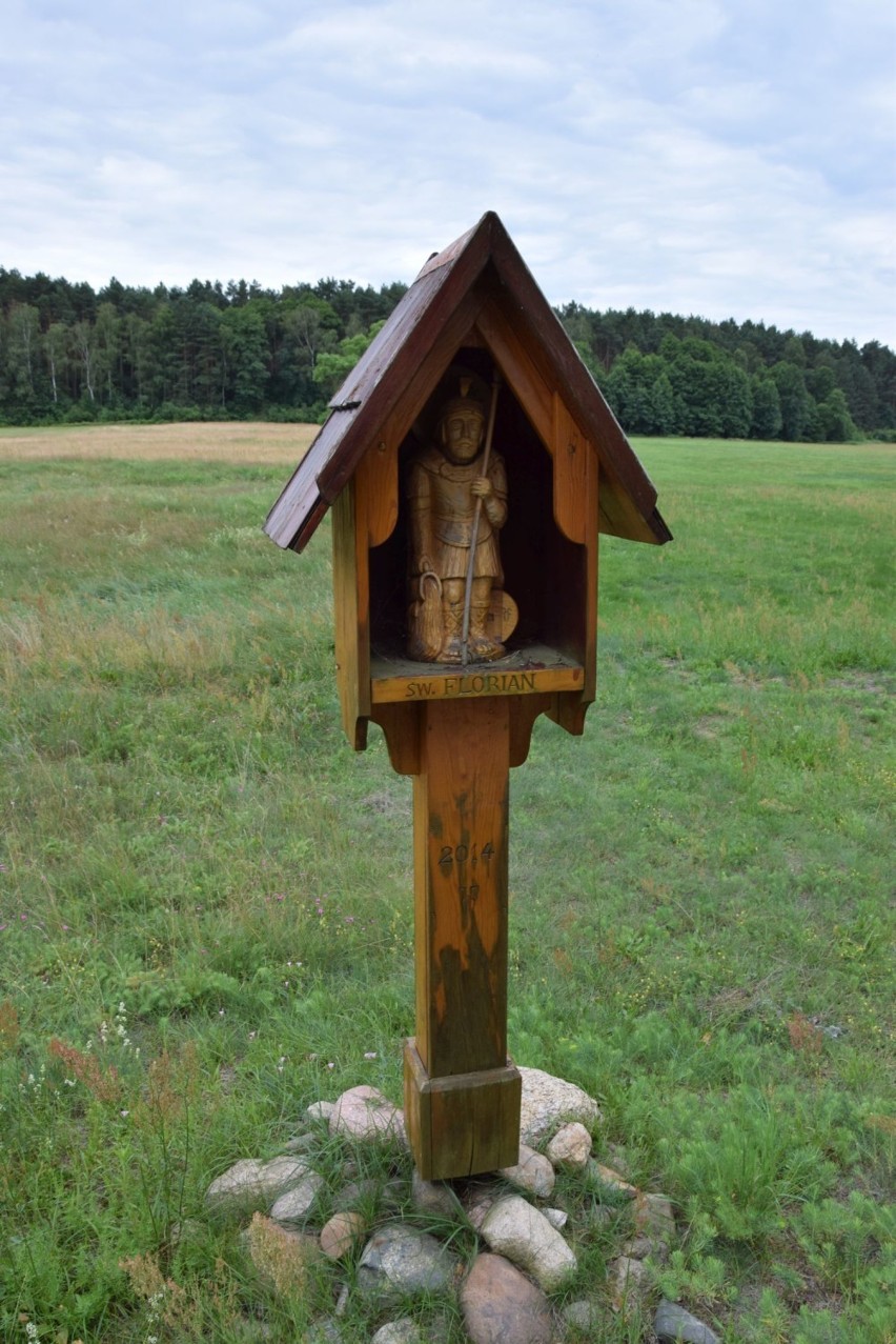 Źródło Św. Floriana w Kochlewie to przyrodnicza perełka, jednak nie w całości jest objęta ochroną. W części służy... krowom ZDJĘCIA