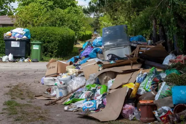 PHU Komunalnik nie wywiązywał się z umowy, dlatego niektóre rejony Bydgoszczy tonęły w śmieciach.