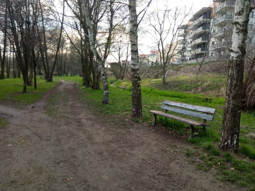 Tereny zielone przylegające do parku nad Krępicą są...