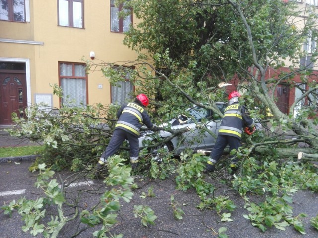 Darłowo - strażacy usuwają drzewo, które spadło na auto