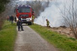 Stop pożarom traw. Podpisy złożone, apel wysłany do samorządów. Codzienność przynosi jednak zupełnie inne obrazki