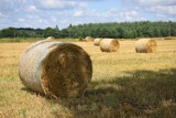 Gospodarstwa agroturystyczne przygotowują się do sezonu. Jak to wygląda w czasie pandemii koronawirusa? 