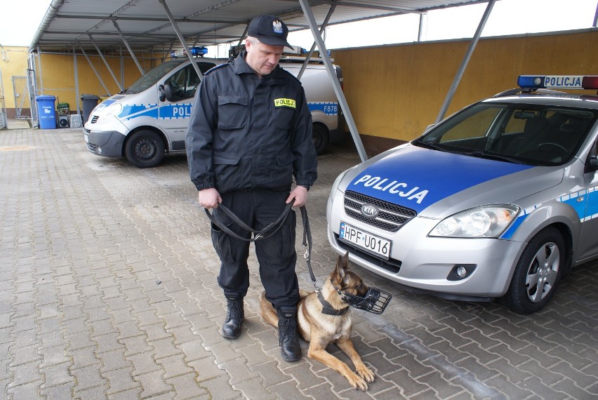 Nowy czworonożny funkcjonariusz zasilił szeregi policji w Wieruszowie