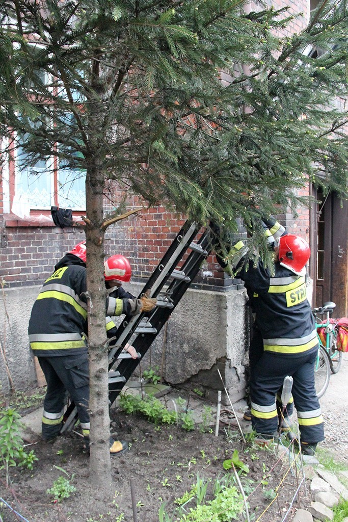 Bielsko-Biała: strażacy wezwani do pożaru garnka