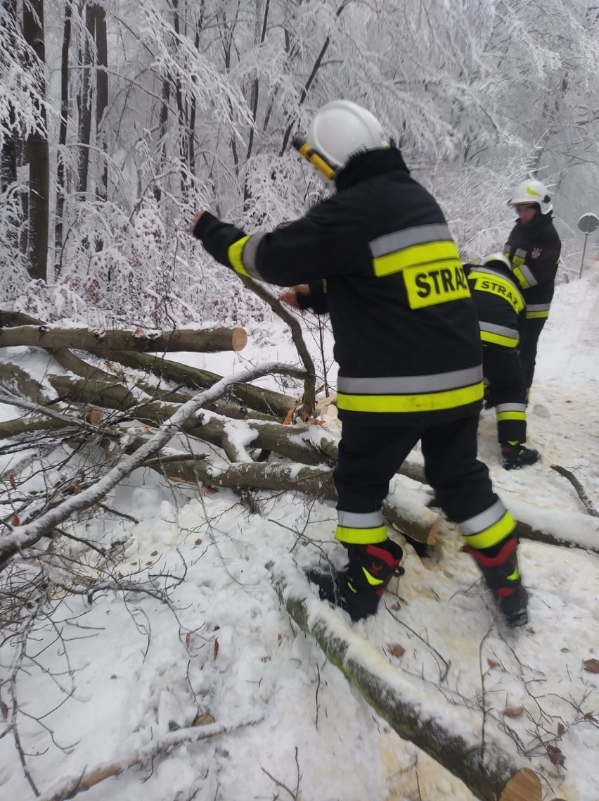 Atak zimy w powiecie gdańskim. W środę, 6.01.2021 strażacy mieli ręce pełne roboty - wzywano ich do drzew powalonych na jezdni
