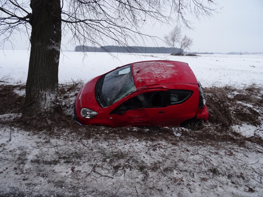 Wpadła w poślizg i uderzyła w drzewo