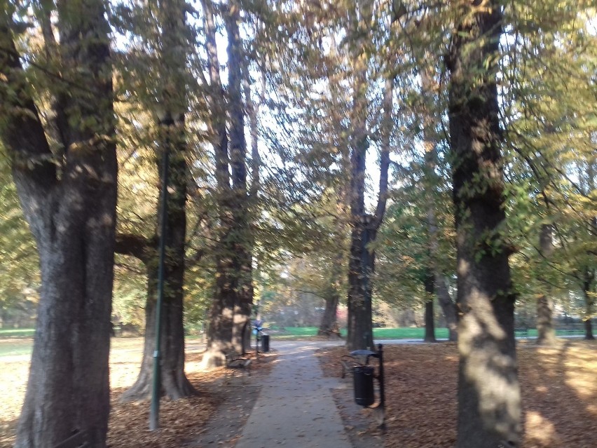 Park Tadeusza Kościuszki w Krakowie znów bez śniegu. Można w nim spędzić aktywnie czas, nie tylko na spacerze [ZDJĘCIA]