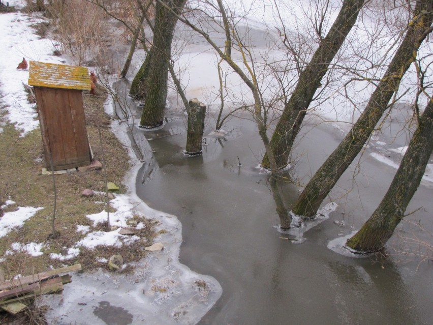 Wysoki stan rzek w województwie lubelskim