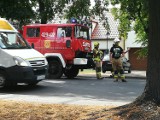 Wypadek na głównej ulicy Czerniejewa. Jedna osoba jest ranna 