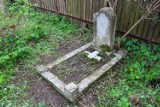 Ukryty cmentarz olędrów w Warszawie. Zrujnowane i zaniedbane miejsce nareszcie przejdzie metamorfozę
