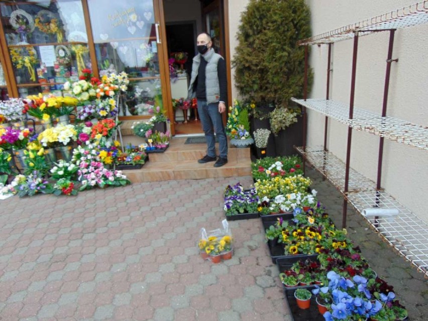 W Szamocinie i Margoninie wiosna tylko w kwiaciarniach.