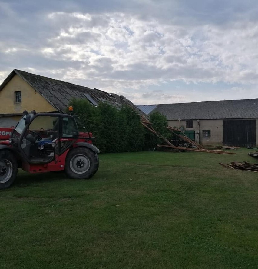 Burza, która przeszła przez powiat kwidzyński uszkodziła nie tylko drzewa i linie energetyczne, straty zgłosili też rolnicy [ZDJĘCIA]